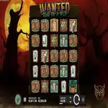 Wanted Dead or Wild spelen
